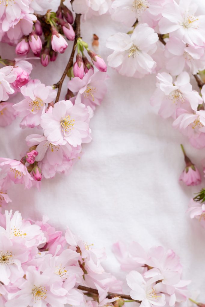pink and white flowers on white textile